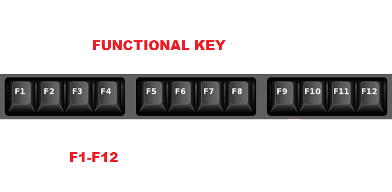 Function  Keys , जो एक प्रोग्राम में किसी विशेष operation के लिए उपयोग किया जाता है। ये keys keyboard में सबसे ऊपर वाले row में होते हैं, जो  f1 से f12 तक होते है इसे ऐसे ही चिन्हित भी किया जाता है।